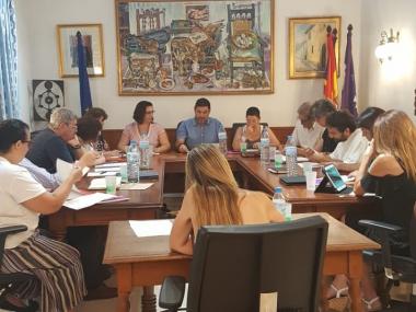 Ple organitzatiu 2019