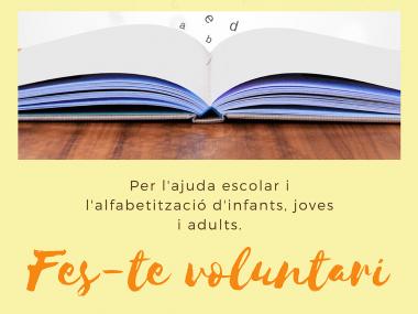 Voluntariat