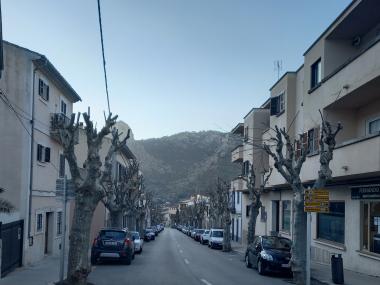 Poda dels arbres de la costa de l'estació