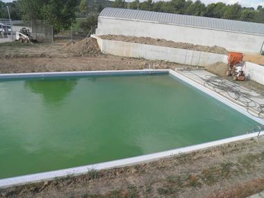 Piscina municipal: més informació