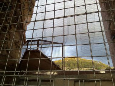 Instal·lades gàbies al campanar per als coloms
