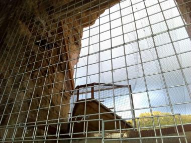 Instal·lades gàbies al campanar per als coloms