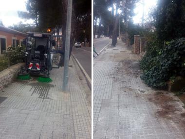 Combatre la processionària