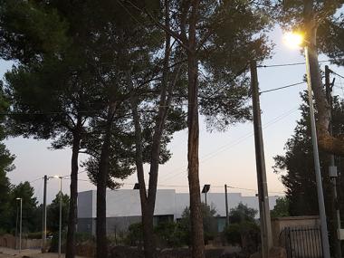 Inaugurat el nou enllumenat del passeig Antoni Estarelles