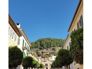 Poda al nucli antic de Bunyola