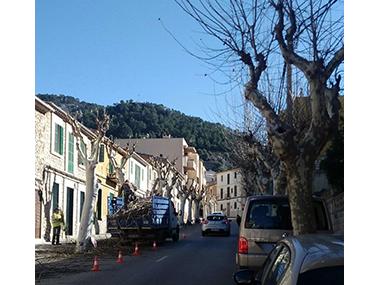 Poda al nucli antic de Bunyola