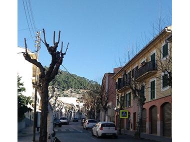 Poda al nucli antic de Bunyola