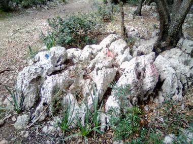 Pintades a sa Comuna