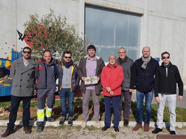 Una olivera al Poliesportiu
