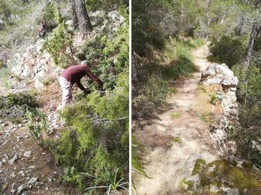 Neteja del camí del Comellar de sa Parra