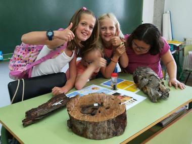 Taller d'educació ambiental al CP Mestre Colom