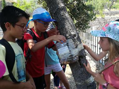Taller d'educació ambiental