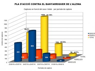 Pla d'acció contra el banyarriquer