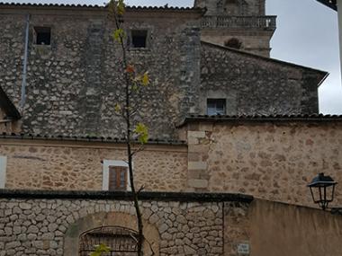 S'ha replantat l'arbre de la plaça