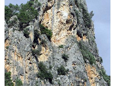 La Conselleria de Medi Ambient retira l'equipament de set vies d'escalada a la Serra de Tramuntana