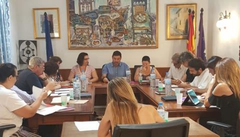 Ple organitzatiu 2019