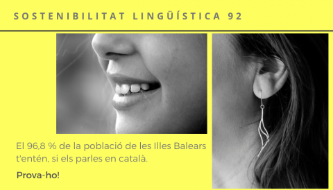 Sostenibilitat lingüística