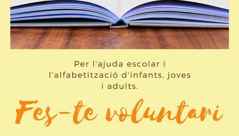 Voluntariat 