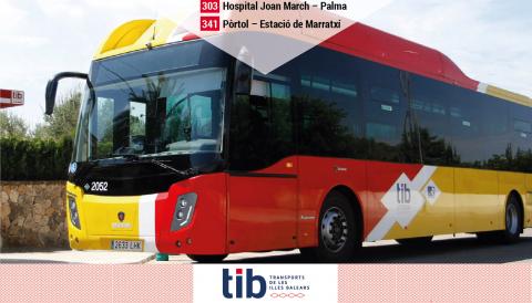 TIB