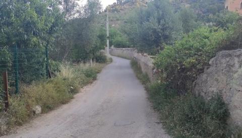 camí de Barcelona