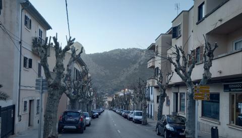 Poda dels arbres de la costa de l'estació