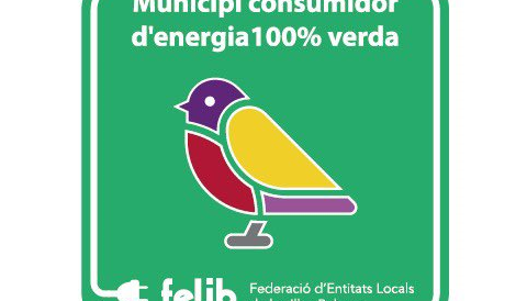 energia 100% verda