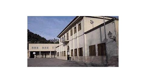 pati escola