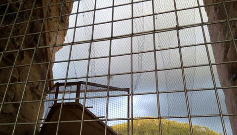 Instal·lades gàbies al campanar per als coloms