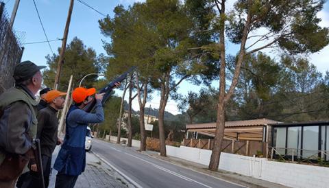 L'Associació de caçadors amb l'Ajuntament contra la processionària