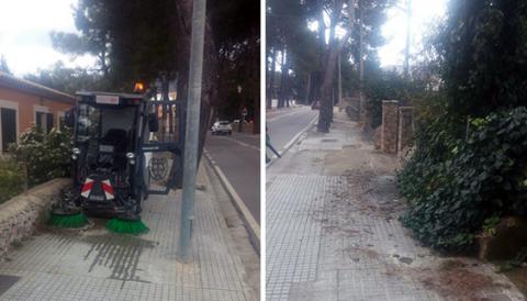 Combatre la processionària