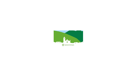 Retribucions dels òrgans de govern municipal durant l'any 2017