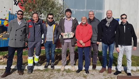 Una olivera al Poliesportiu