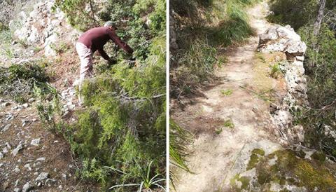 Neteja del camí del Comellar de sa Parra