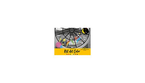 Programa de la Nit del Color